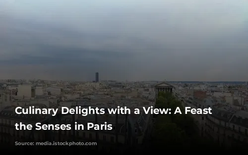 Culinary Delights with a View: A Feast for the Senses in Paris