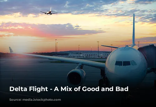 Delta Flight - A Mix of Good and Bad