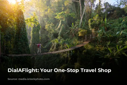 DialAFlight: Your One-Stop Travel Shop