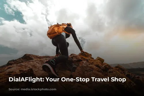 DialAFlight: Your One-Stop Travel Shop