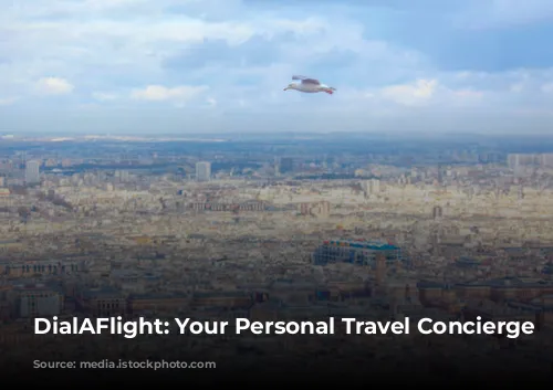 DialAFlight: Your Personal Travel Concierge