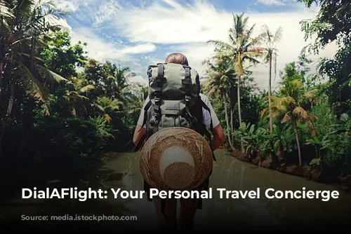 DialAFlight: Your Personal Travel Concierge