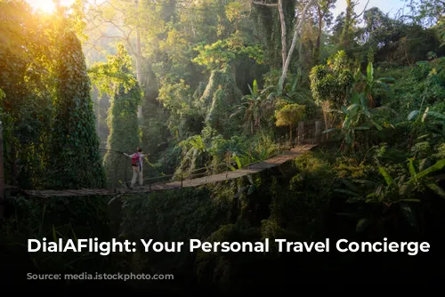 DialAFlight: Your Personal Travel Concierge