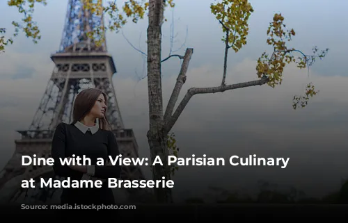 Dine with a View: A Parisian Culinary Journey at Madame Brasserie