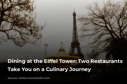 Dining at the Eiffel Tower: Two Restaurants to Take You on a Culinary Journey