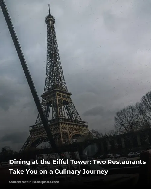 Dining at the Eiffel Tower: Two Restaurants to Take You on a Culinary Journey