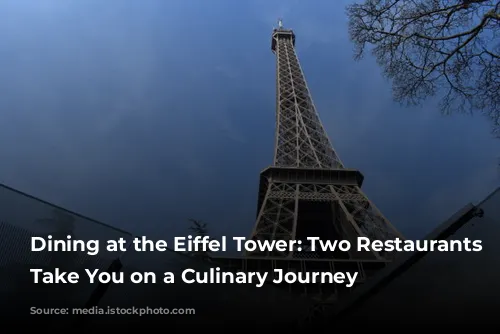 Dining at the Eiffel Tower: Two Restaurants to Take You on a Culinary Journey