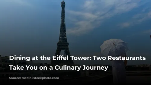 Dining at the Eiffel Tower: Two Restaurants to Take You on a Culinary Journey