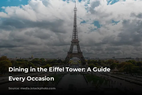 Dining in the Eiffel Tower: A Guide for Every Occasion