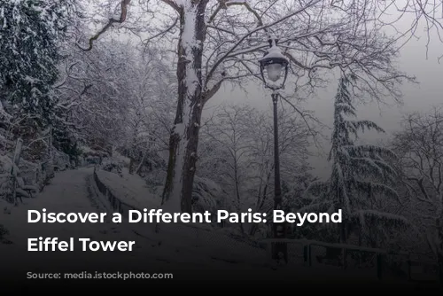 Discover a Different Paris: Beyond the Eiffel Tower