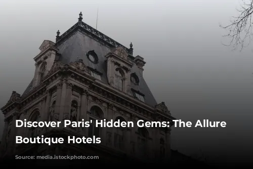 Discover Paris' Hidden Gems: The Allure of Boutique Hotels