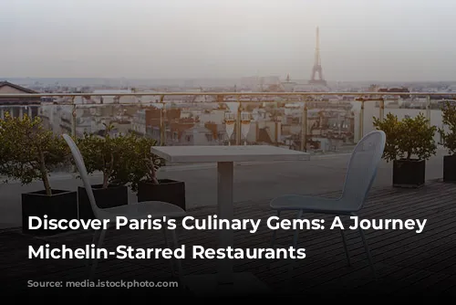 Discover Paris's Culinary Gems: A Journey Through Michelin-Starred Restaurants