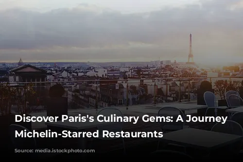 Discover Paris's Culinary Gems: A Journey Through Michelin-Starred Restaurants