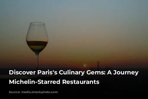 Discover Paris's Culinary Gems: A Journey Through Michelin-Starred Restaurants