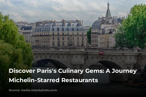 Discover Paris's Culinary Gems: A Journey Through Michelin-Starred Restaurants