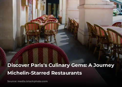 Discover Paris's Culinary Gems: A Journey Through Michelin-Starred Restaurants