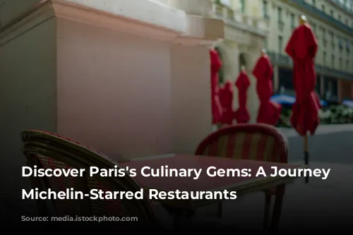 Discover Paris's Culinary Gems: A Journey Through Michelin-Starred Restaurants