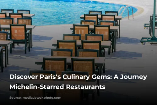 Discover Paris's Culinary Gems: A Journey Through Michelin-Starred Restaurants