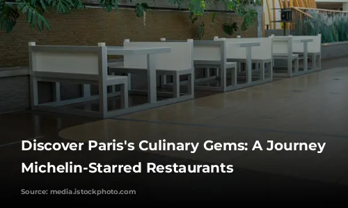 Discover Paris's Culinary Gems: A Journey Through Michelin-Starred Restaurants