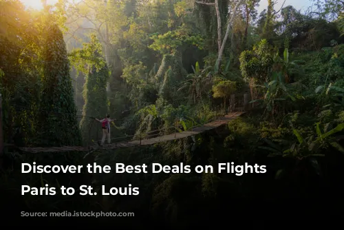 Discover the Best Deals on Flights from Paris to St. Louis