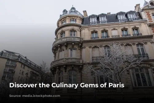 Discover the Culinary Gems of Paris