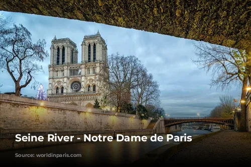 Seine River - Notre Dame de Paris