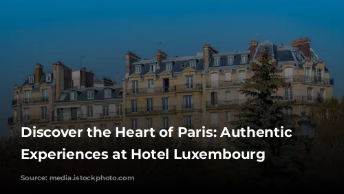 Discover the Heart of Paris: Authentic Guest Experiences at Hotel Luxembourg Parc