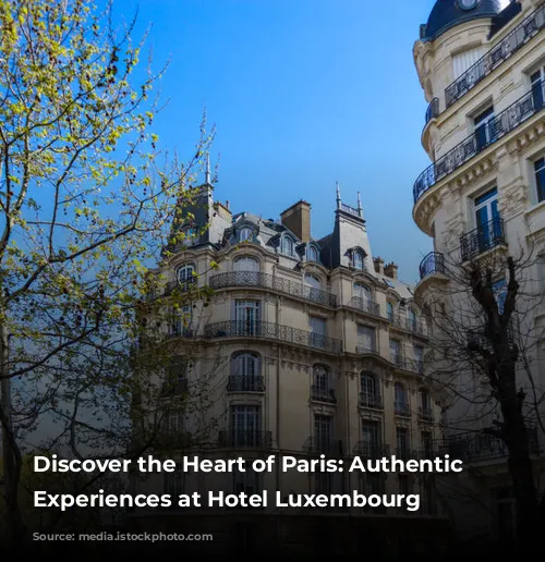 Discover the Heart of Paris: Authentic Guest Experiences at Hotel Luxembourg Parc