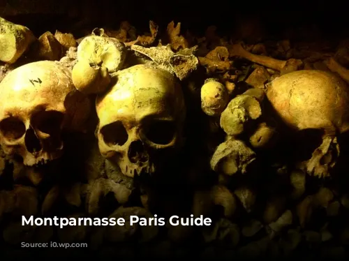 Montparnasse Paris Guide