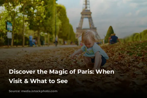 Discover the Magic of Paris: When to Visit & What to See