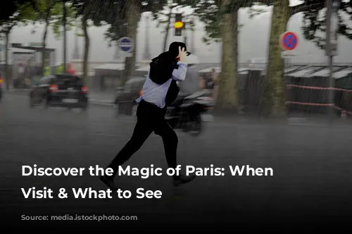 Discover the Magic of Paris: When to Visit & What to See