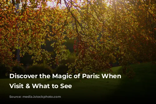 Discover the Magic of Paris: When to Visit & What to See