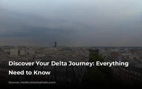 Discover Your Delta Journey:  Everything You Need to Know