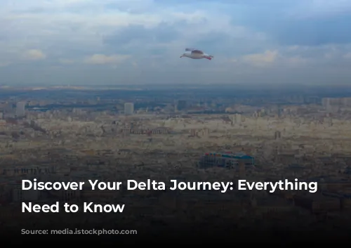 Discover Your Delta Journey:  Everything You Need to Know