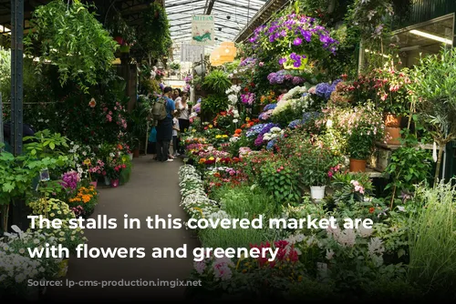 The stalls in this covered market are lined with flowers and greenery