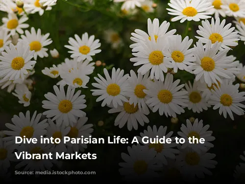 Dive into Parisian Life: A Guide to the City's Vibrant Markets