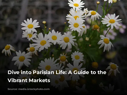 Dive into Parisian Life: A Guide to the City's Vibrant Markets