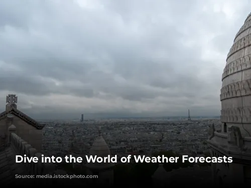 Dive into the World of Weather Forecasts