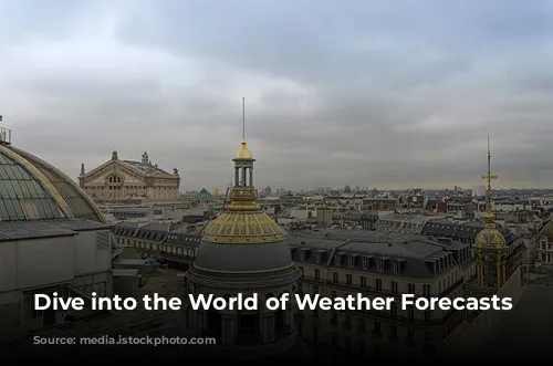 Dive into the World of Weather Forecasts