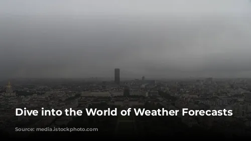 Dive into the World of Weather Forecasts