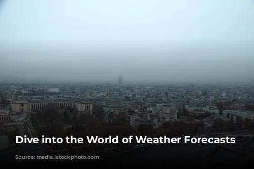 Dive into the World of Weather Forecasts