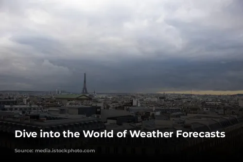 Dive into the World of Weather Forecasts