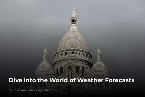 Dive into the World of Weather Forecasts