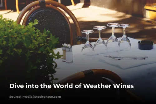 Dive into the World of Weather Wines