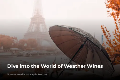 Dive into the World of Weather Wines