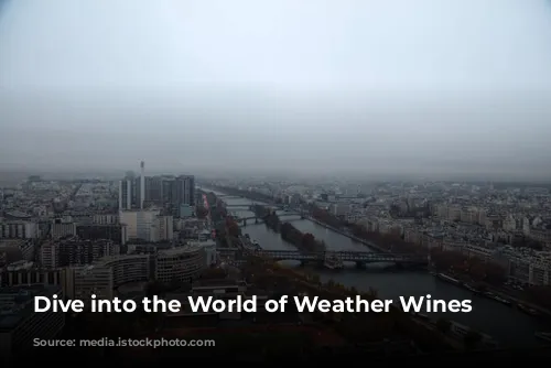 Dive into the World of Weather Wines