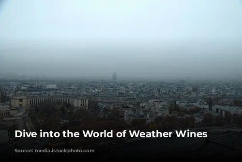 Dive into the World of Weather Wines