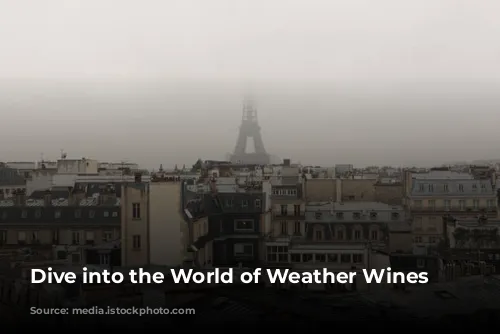 Dive into the World of Weather Wines