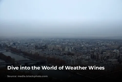 Dive into the World of Weather Wines