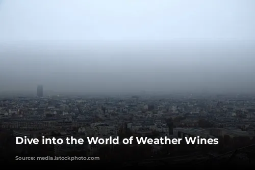 Dive into the World of Weather Wines